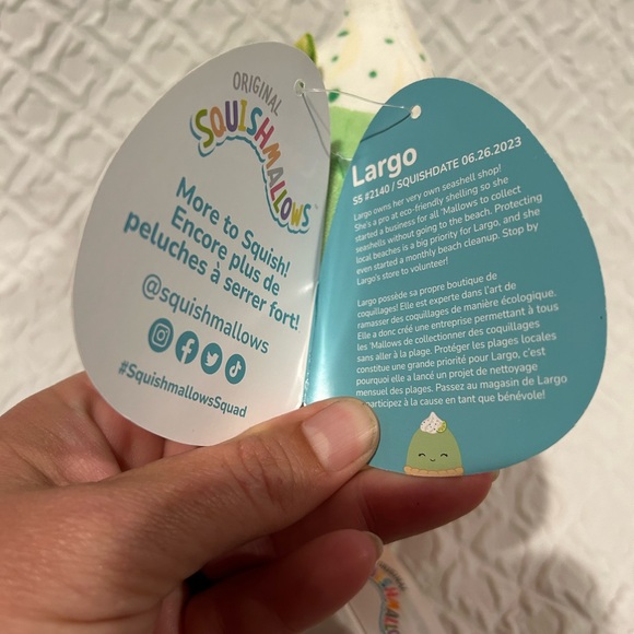 *NWT Scented Mystery Squishmallows Set Largo Key Lime Pie & Mocha Latte Coffee - Picture 5 of 16